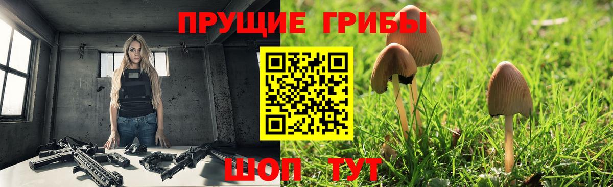 Галлюциногенные грибы Cubensis  купить наркотики цена  Вход с VPN  Красноуфимск  Галлюциногенные грибы ЛСД 